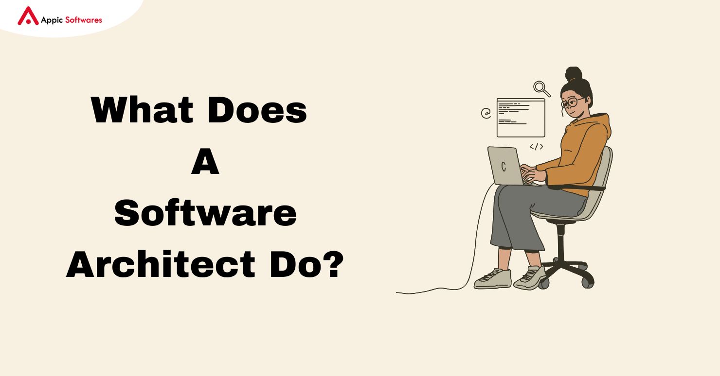 Software architect